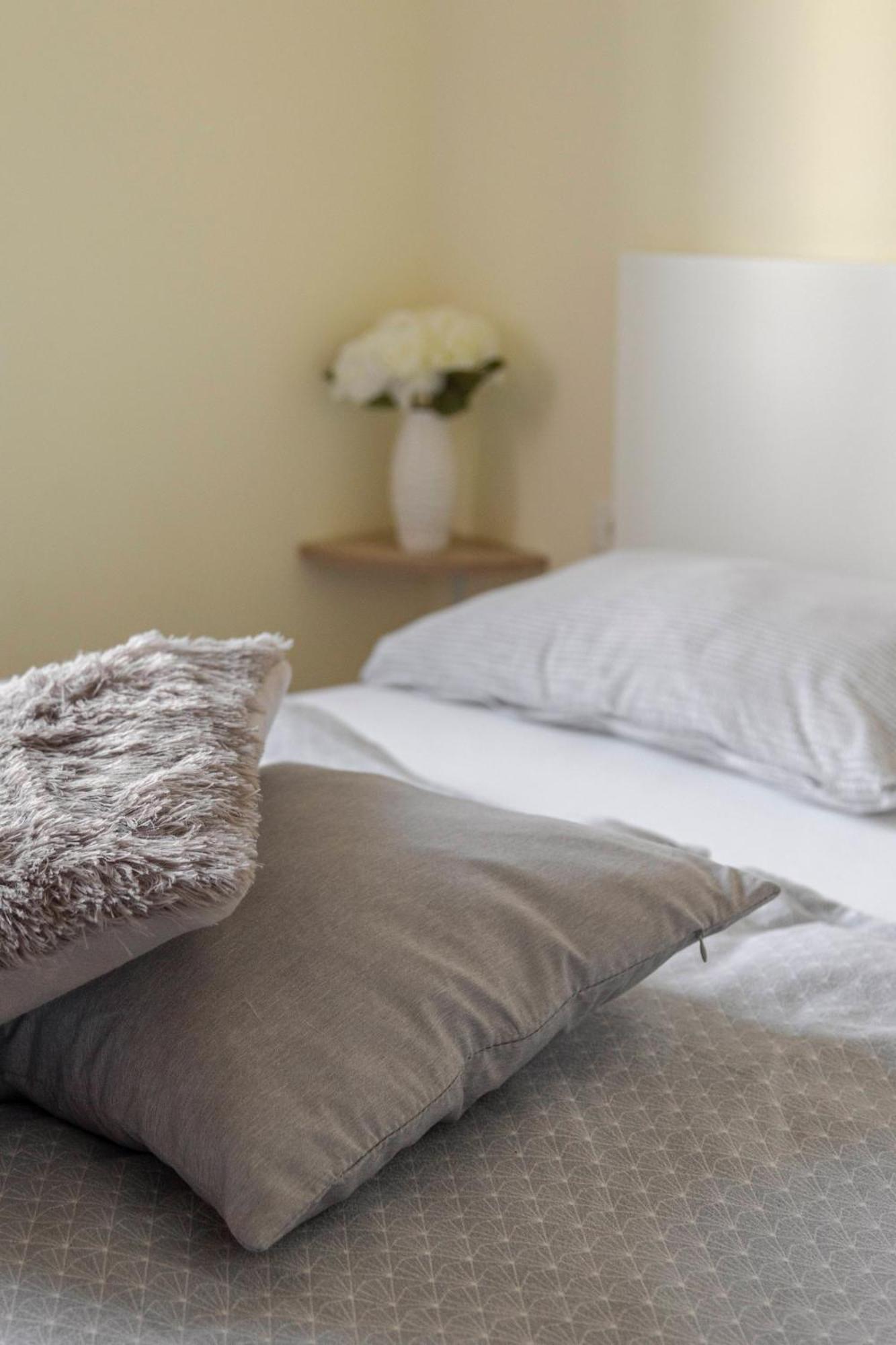 Apartma Vesna كوبر المظهر الخارجي الصورة